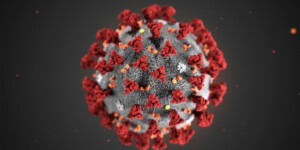 coronavirus