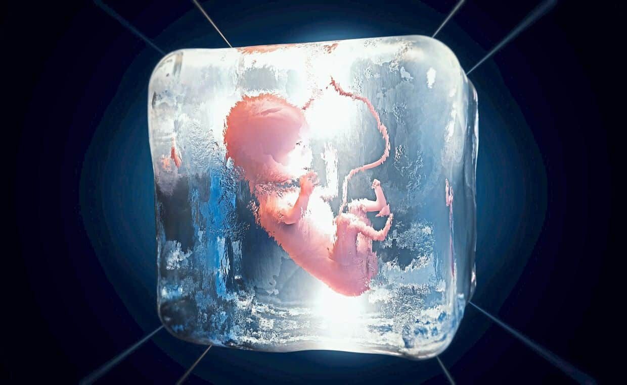 frozen-embryos-01-6479259